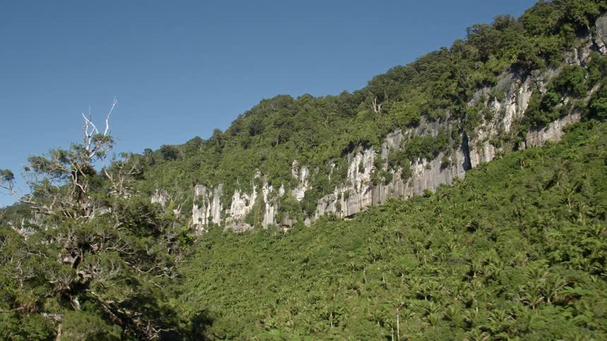 A very green forest is being filmed by a drone with a mountain cliff in the background