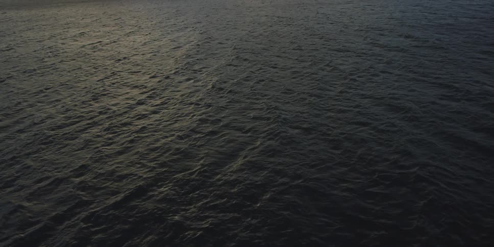 Forest sits next to the ocean under a cloudy sky
