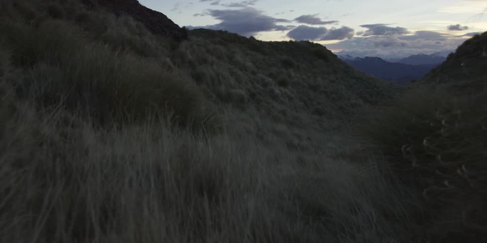 A grassy hillside on an overcast day