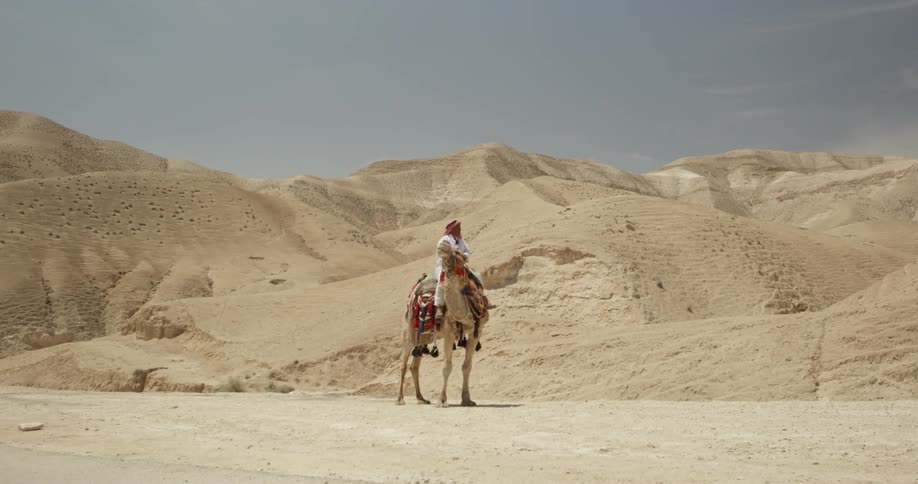 Person sitting on a camel in the middle of the desert