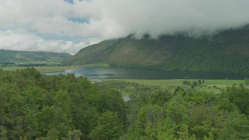 View of a forest next to a lake on a cloudy day