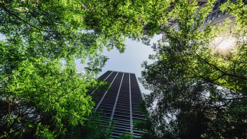 A skyscraper seen through the treetops