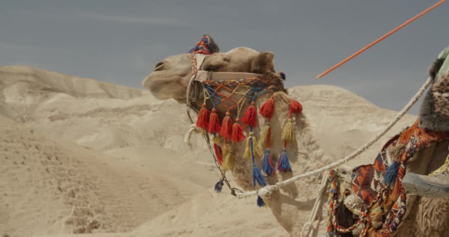 A man rides a camel in the desert