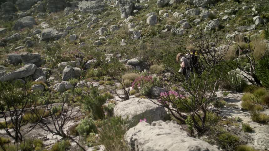 A hiker carries gear along the hillside