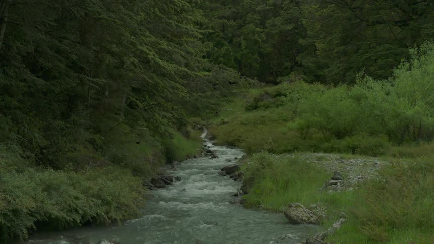 A small stream is being filmed next to a grassy field