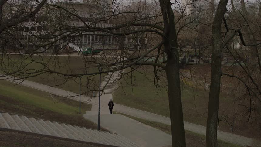 Man walking down a long outdoor stairway in a park area on a fall day