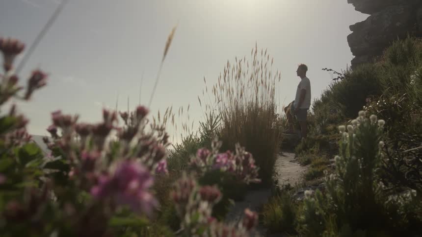 Man stands on a path surrounded by flowers and weeds