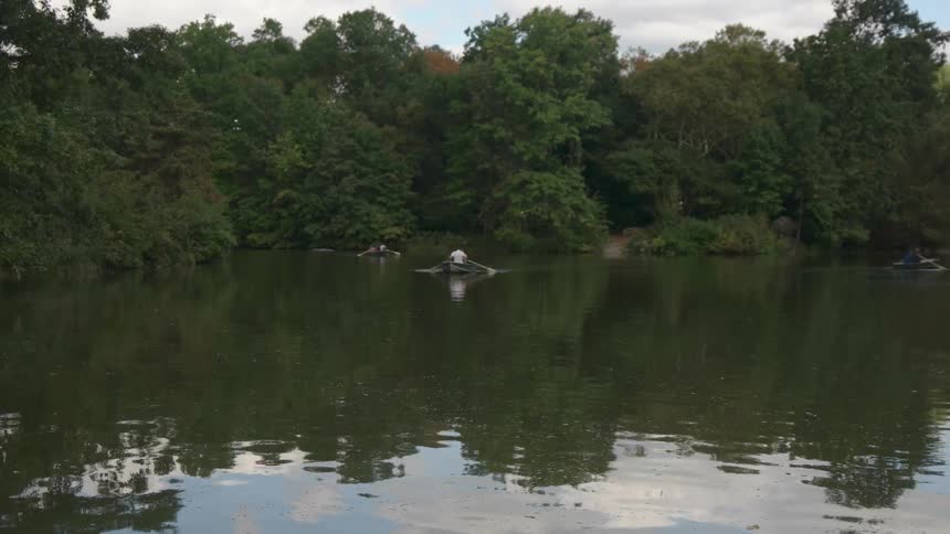 People row boats in a pond
