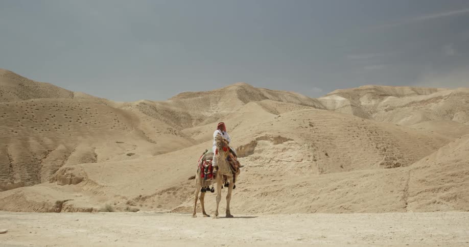 Man sitting on a camel in the middle of the desert