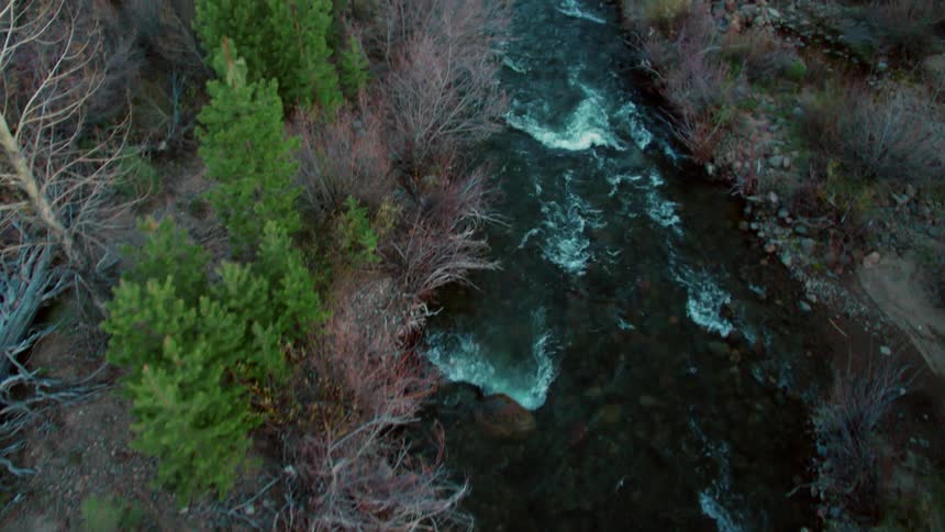 A river flows through a forest