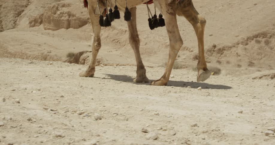 A man traveling in the desert on a camel