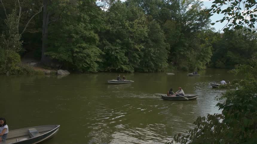 People row boats on a lake during the day