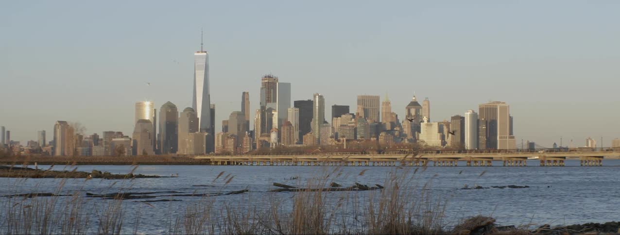 Birds fly over the water before the city