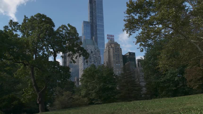 Tall buildings sit near a grassy park