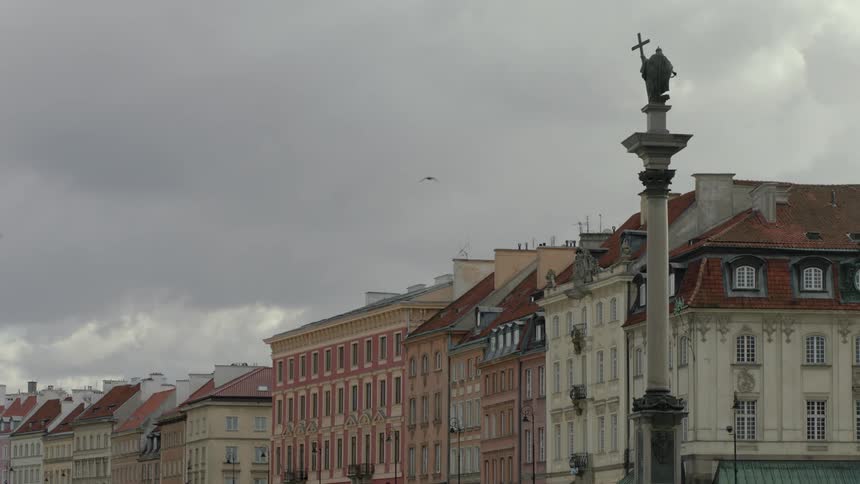 Birds fly above a city on an overcast day