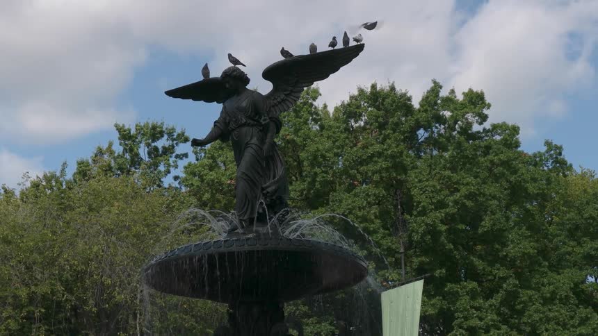 Birds land and sit on a water fountain statues wings