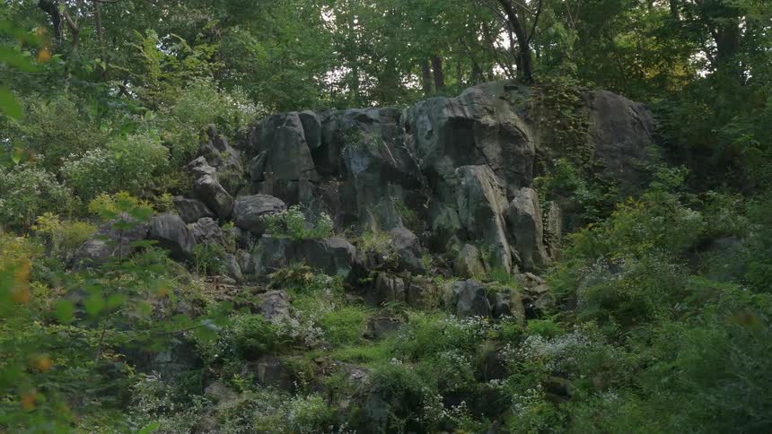 The cliff above is covered in green and trees