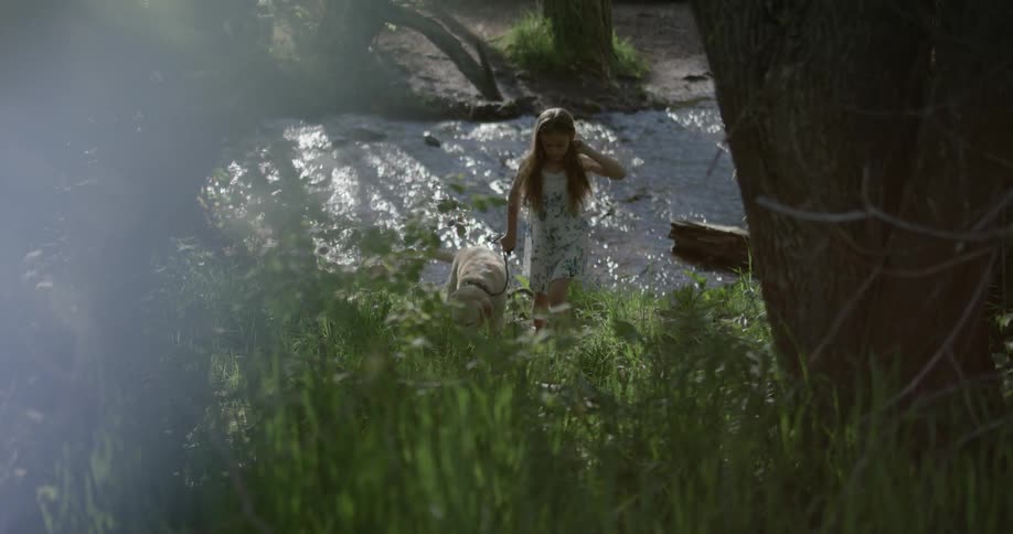 A young girl walks her dog through the woods