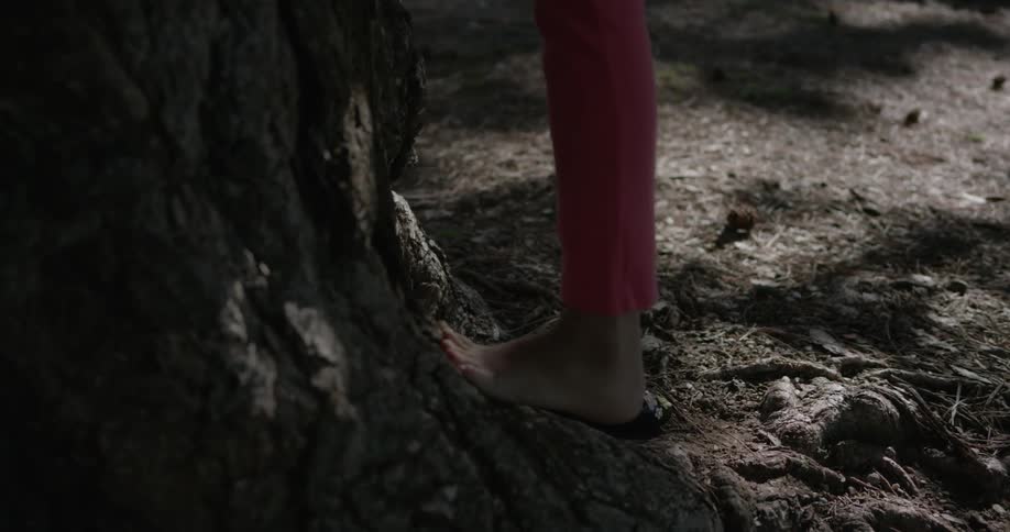 A person jumps to start climbing a tree