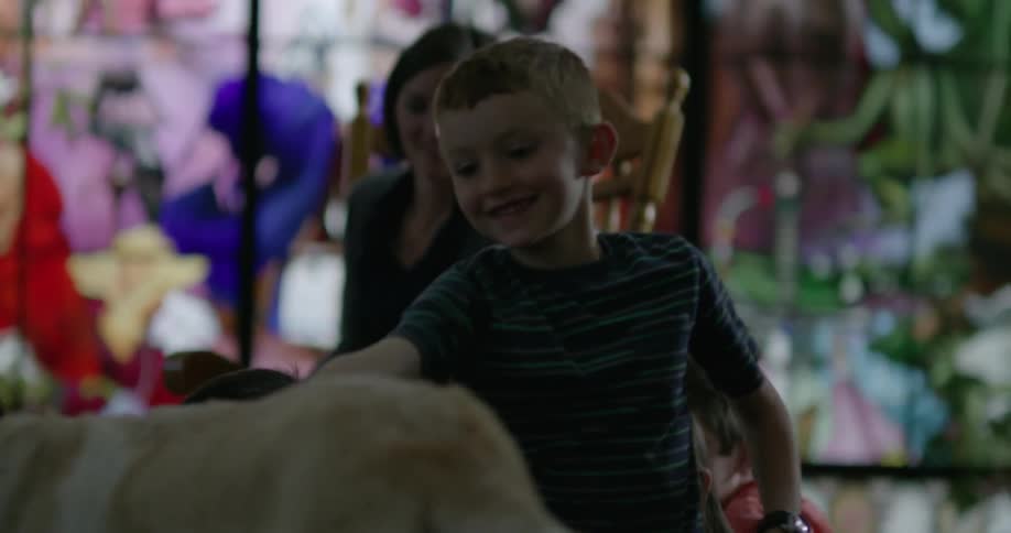 Children get up to pet a nice dog