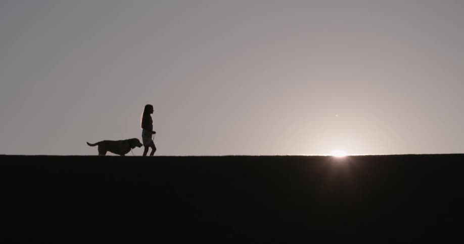 A woman and dog walk on a hillside as the sun shines brightly