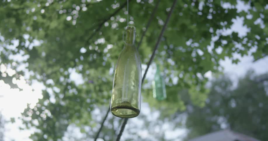 Bottle hanging from a tree outside on a sunny day