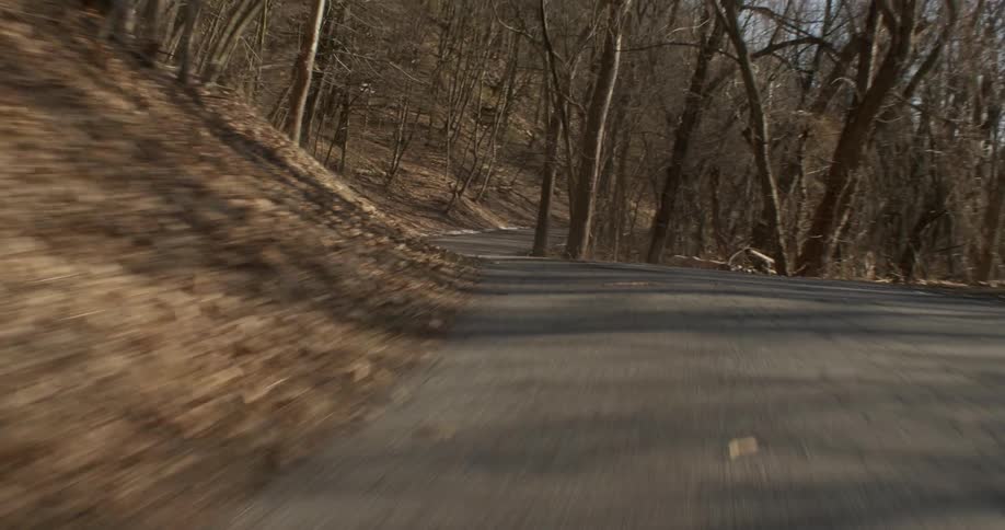 Leaves are blown across a mountain road