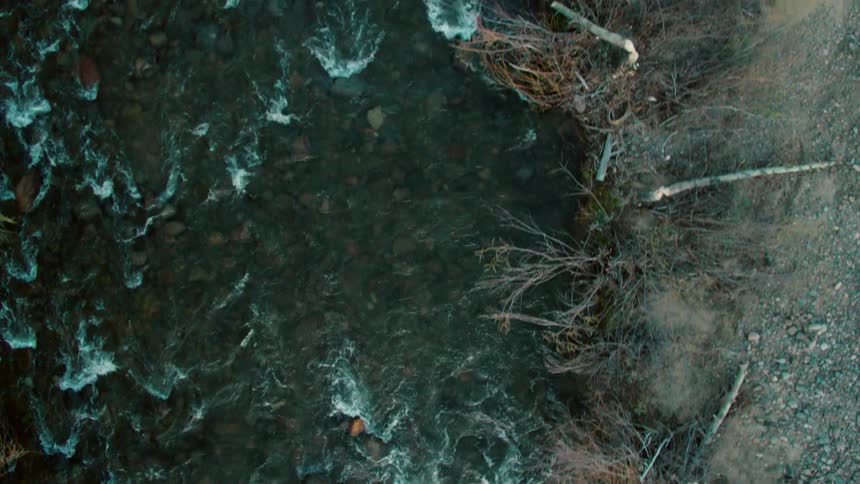 Water flows rapidly down a stream