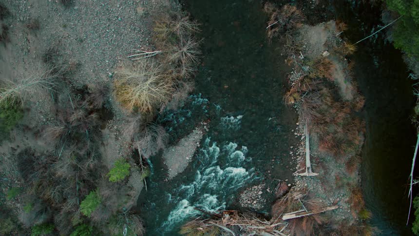 Water flows rapidly down a stream