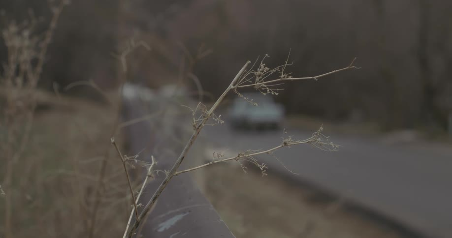 An old pickup truck drives on a rural road