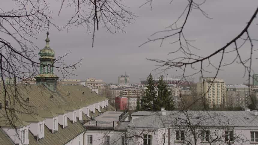 Bare tree branches sway in the breeze in a city