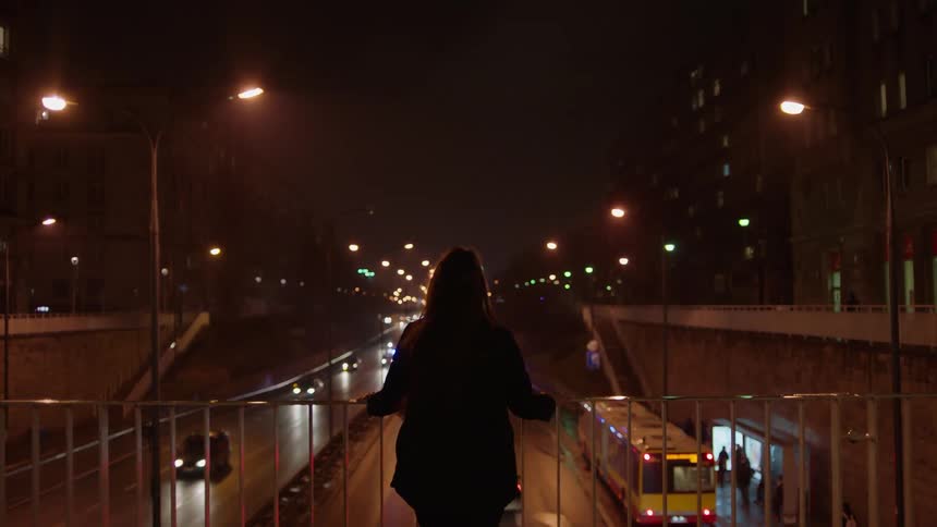 A woman stands and leans on a bridge railing