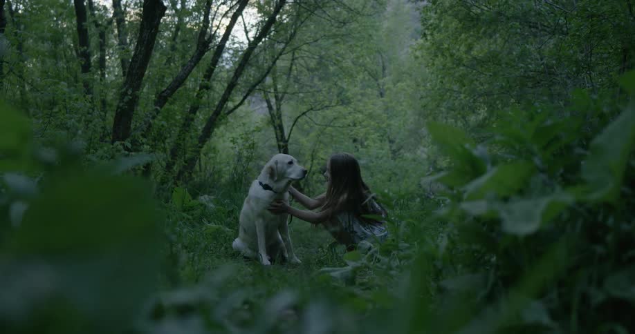 A girl pets a dog in the woods