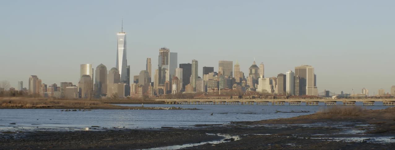 The water leads to the city ahead as birds fly around