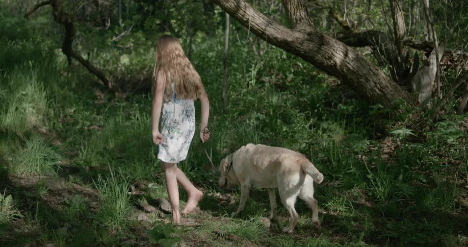 A girl walks a dog in past some trees