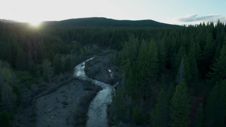 The sun shines on a flowing stream in the forest