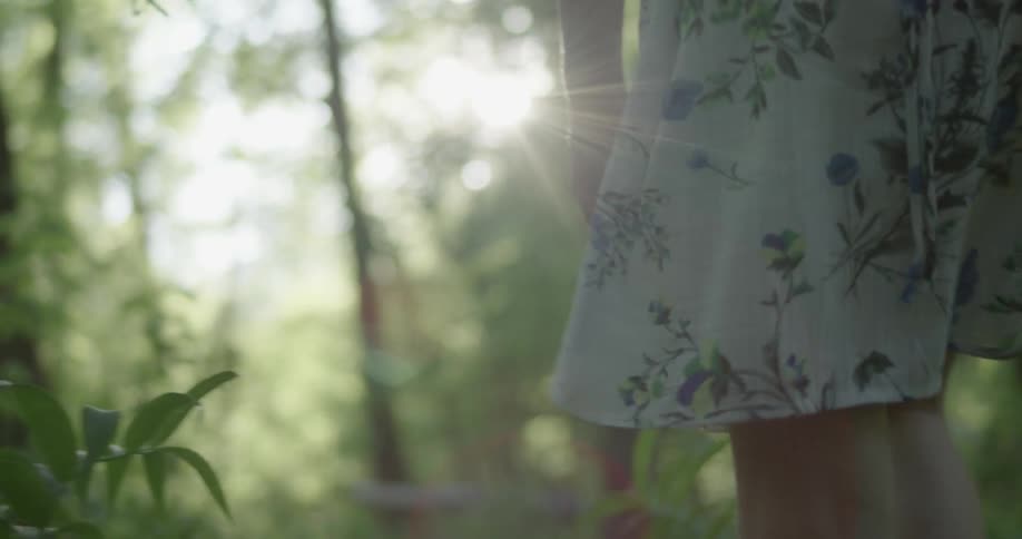 Child walks through the forest on a sunny day