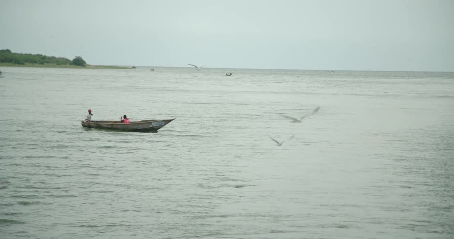 Two people travel in a boat in the water as birds fly around