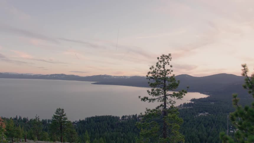The hillside with trees leads to the water