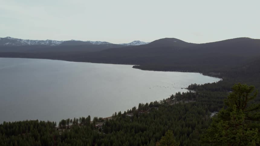 A reveal of Lake Tahoe from behind large pine trees