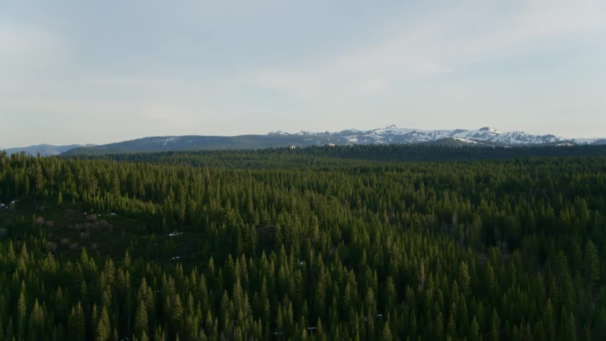 The forest is vast leading to the mountains ahead