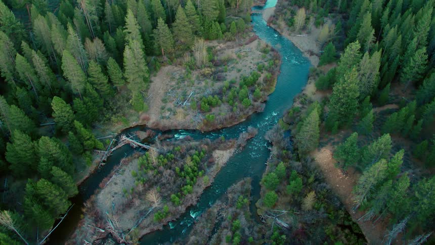 A small river in the forest is being filmed from the air