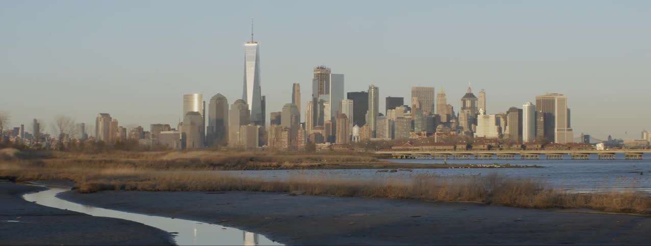 Tall city buildings tower into the skyline
