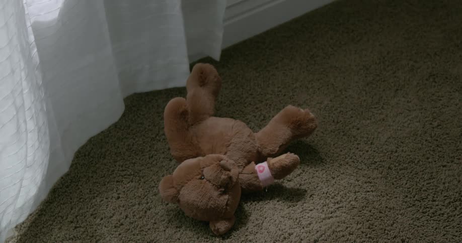 A bear is dropped to the ground
