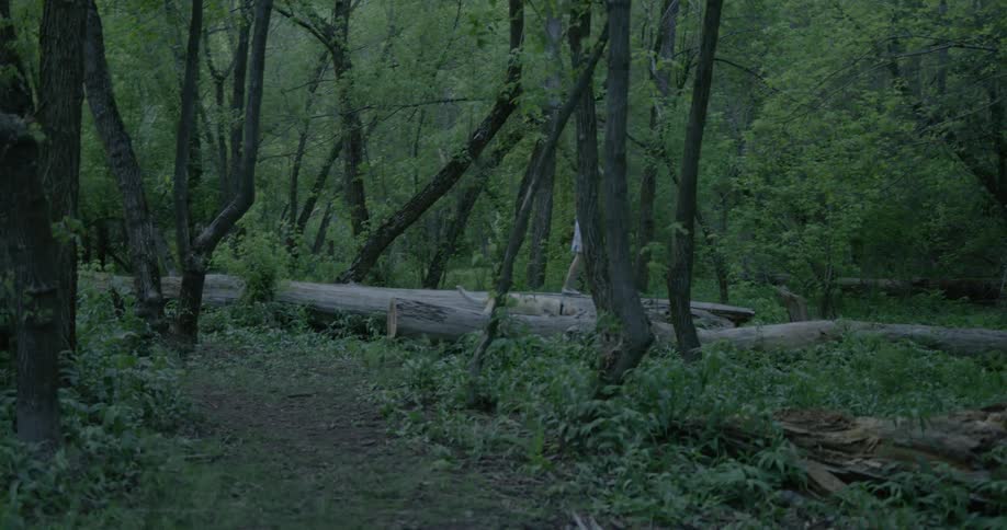 A girl and a dog walk through the woods together