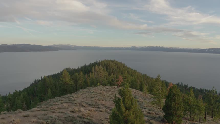 Pine trees grow next to a mountain lake