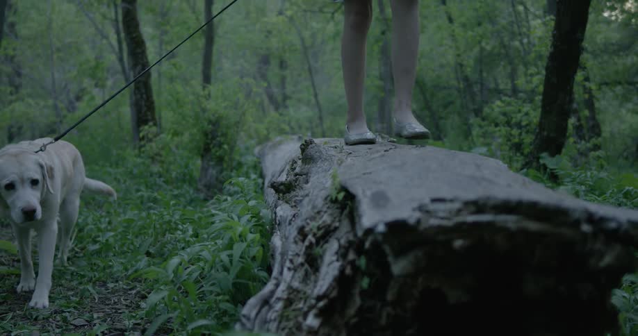 A woman walks a dog through the woods
