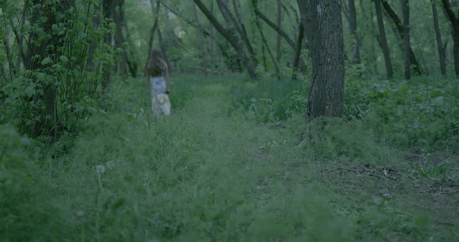 A young girl walks her dog through the woods