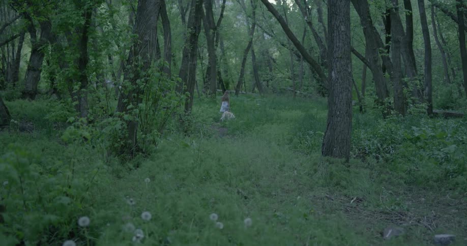 A young girl walks her dog through the woods