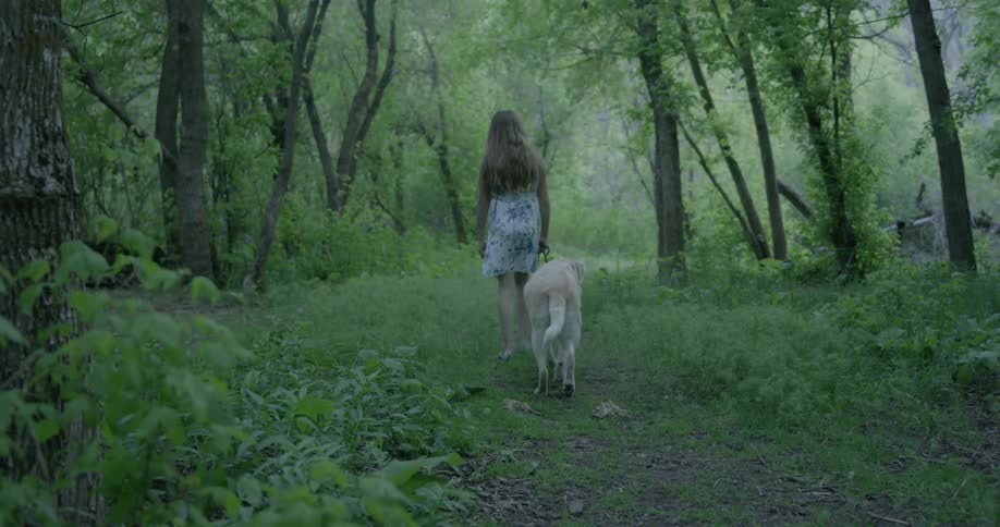 A girl walks a dog through the forest